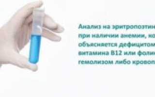 Анализ на эритропоэтин: зачем назначается, что означают полученные результаты