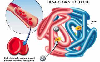 Гемоглобин-норма у детей по возрасту,таблица значений,методы анализа и терапии